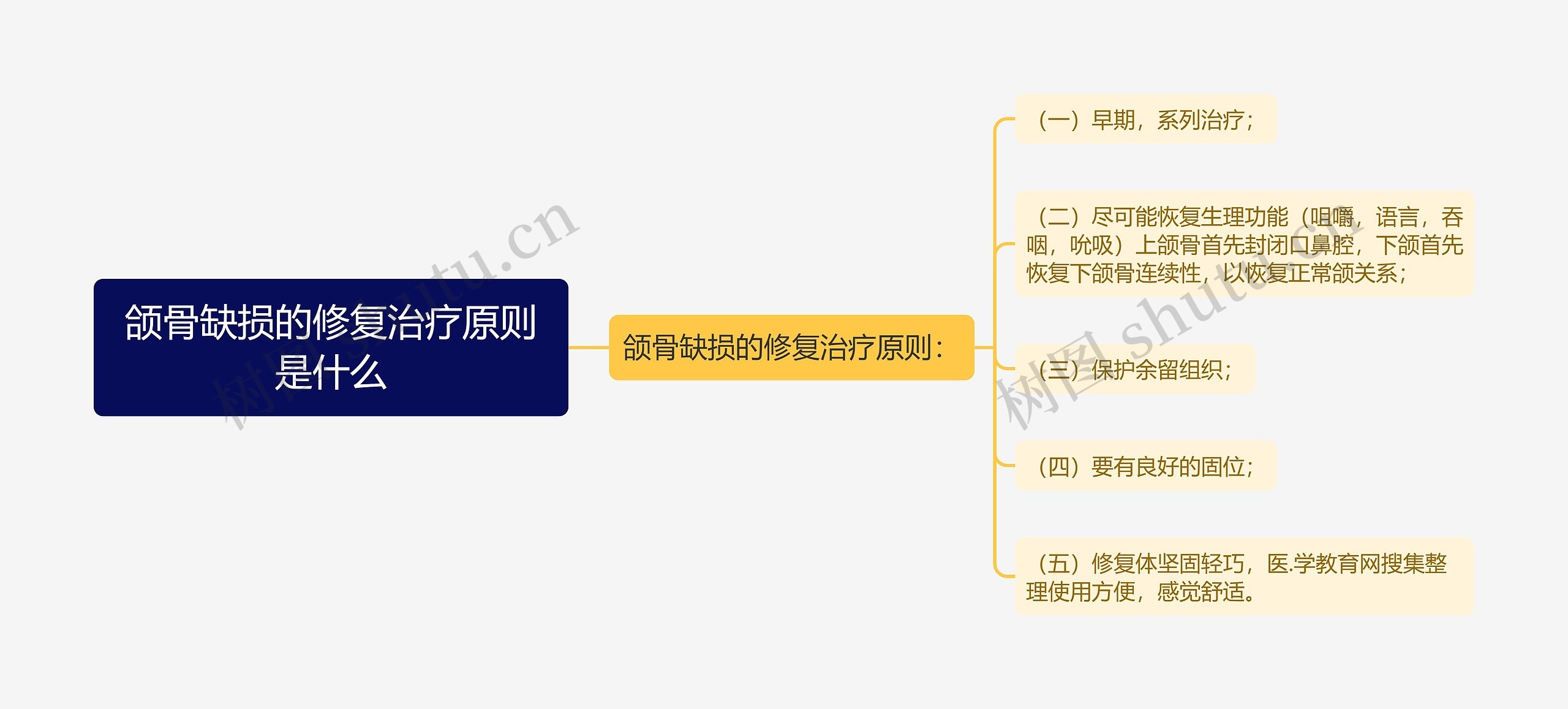 颌骨缺损的修复治疗原则是什么思维导图