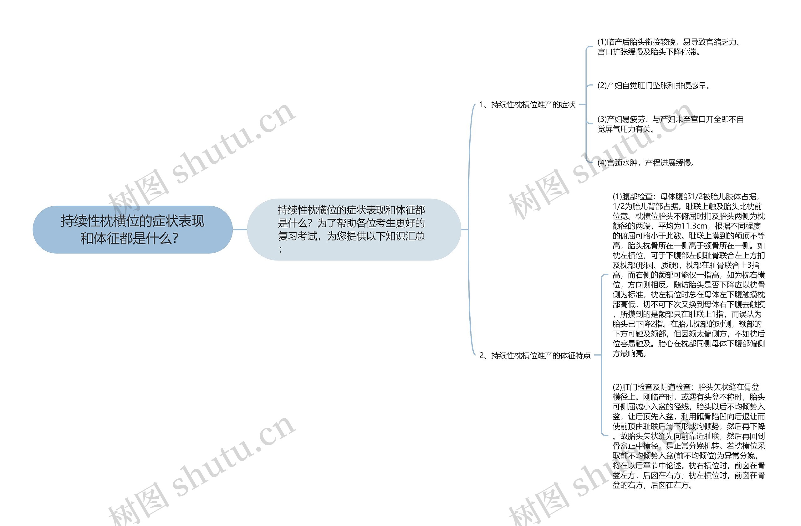 持续性枕横位的症状表现和体征都是什么？思维导图