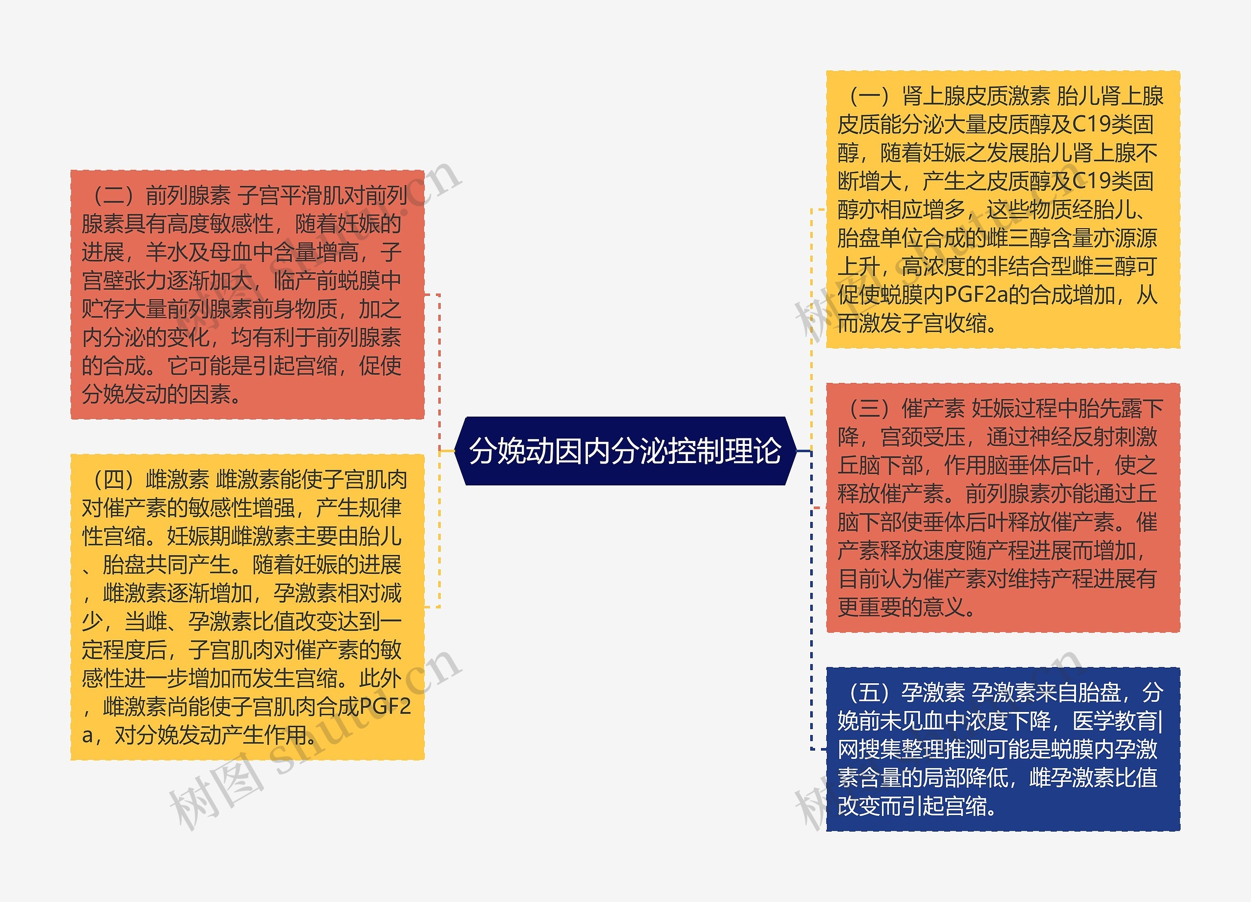 分娩动因内分泌控制理论思维导图