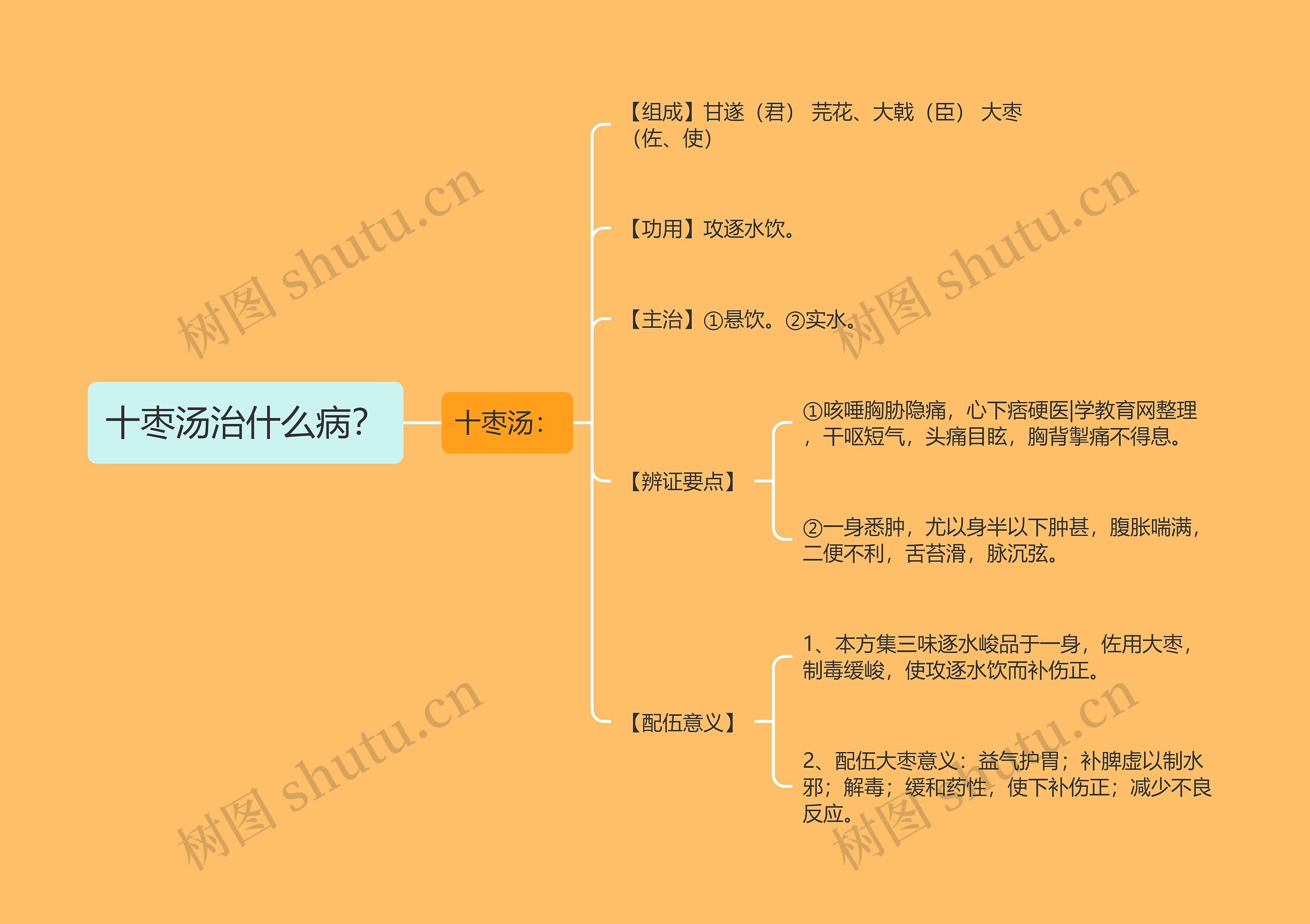 十枣汤治什么病？思维导图