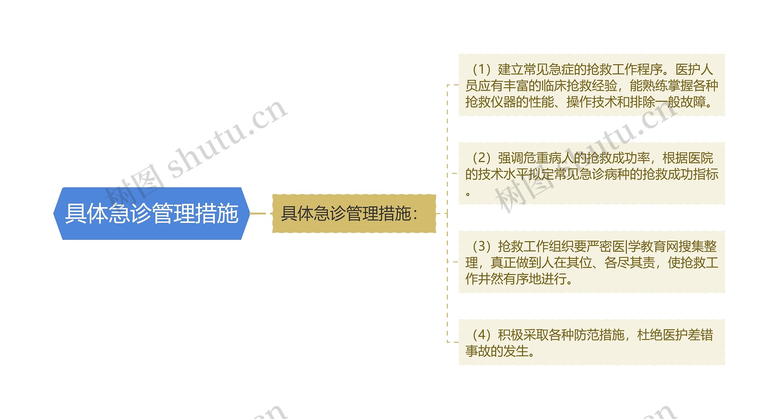 具体急诊管理措施思维导图