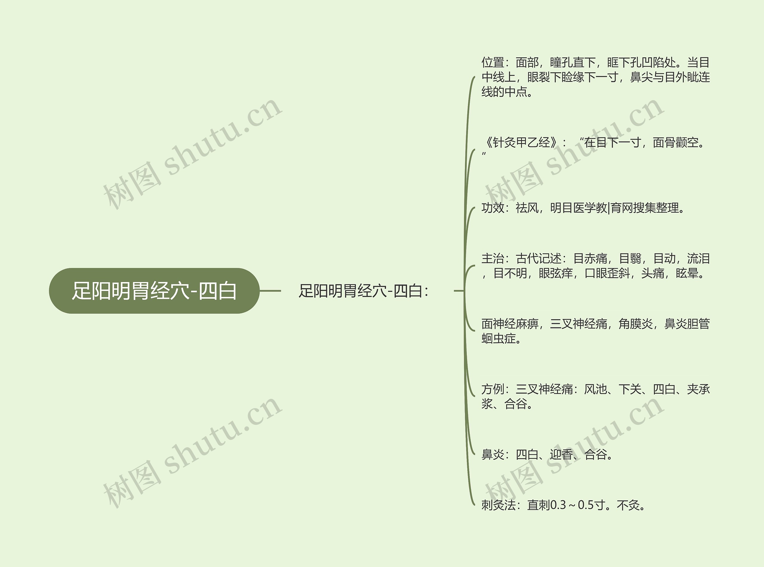 足阳明胃经穴-四白思维导图