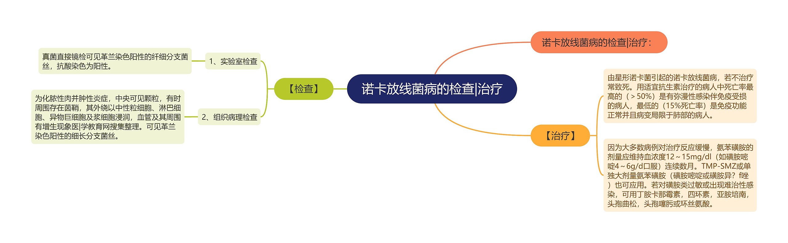 诺卡放线菌病的检查|治疗思维导图