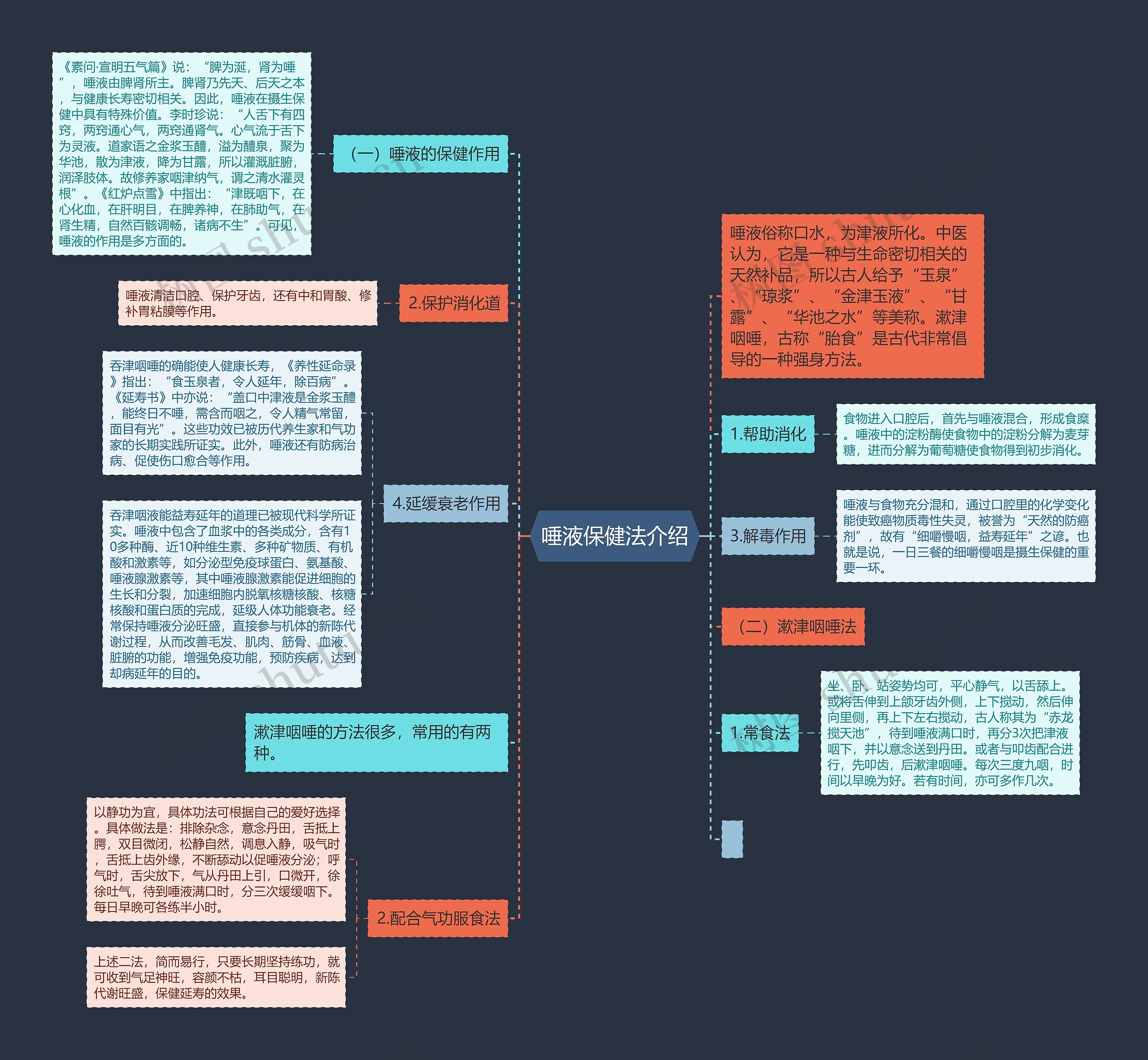 唾液保健法介绍思维导图