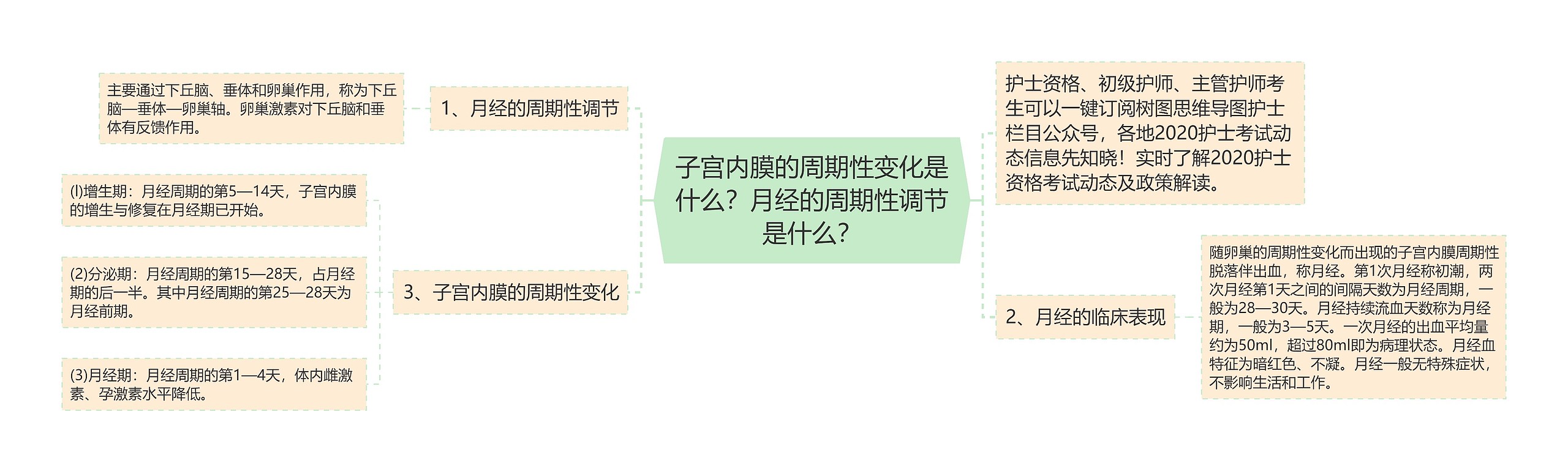 子宫内膜的周期性变化是什么?月经的周期性调节是什么? 子宫内膜的周期性变化是什么?月经的周期性调节是什么?