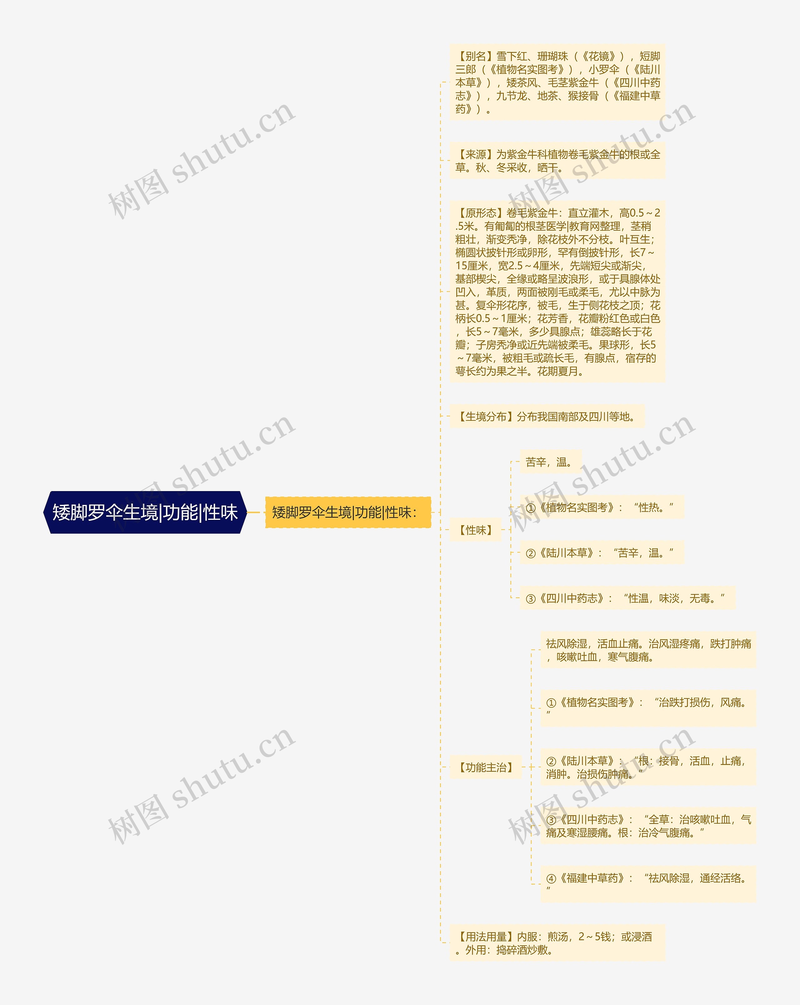 矮脚罗伞生境|功能|性味思维导图