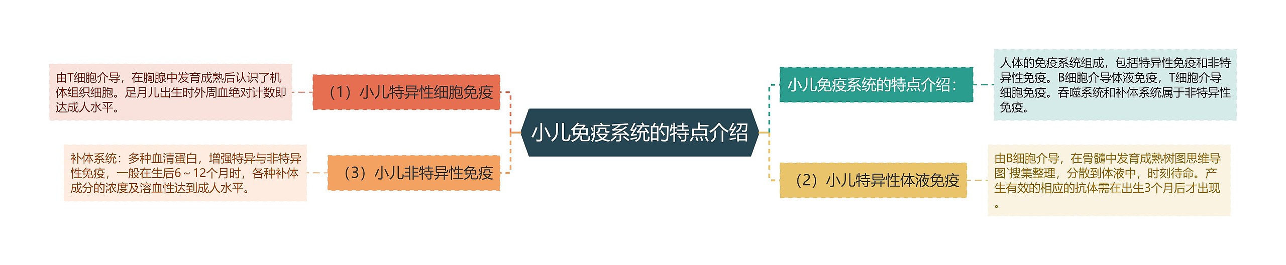 小儿免疫系统的特点介绍 小儿免疫系统的特点介绍