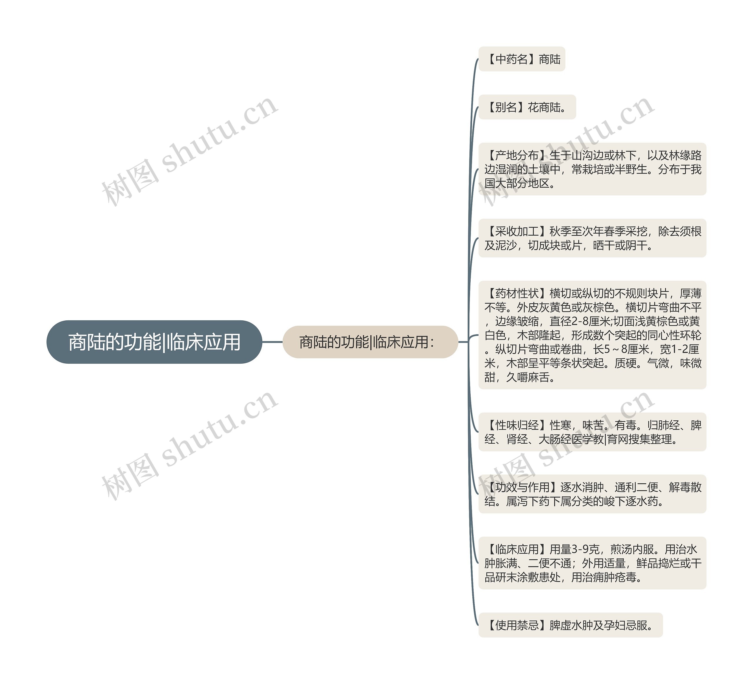 商陆的功能|临床应用思维导图