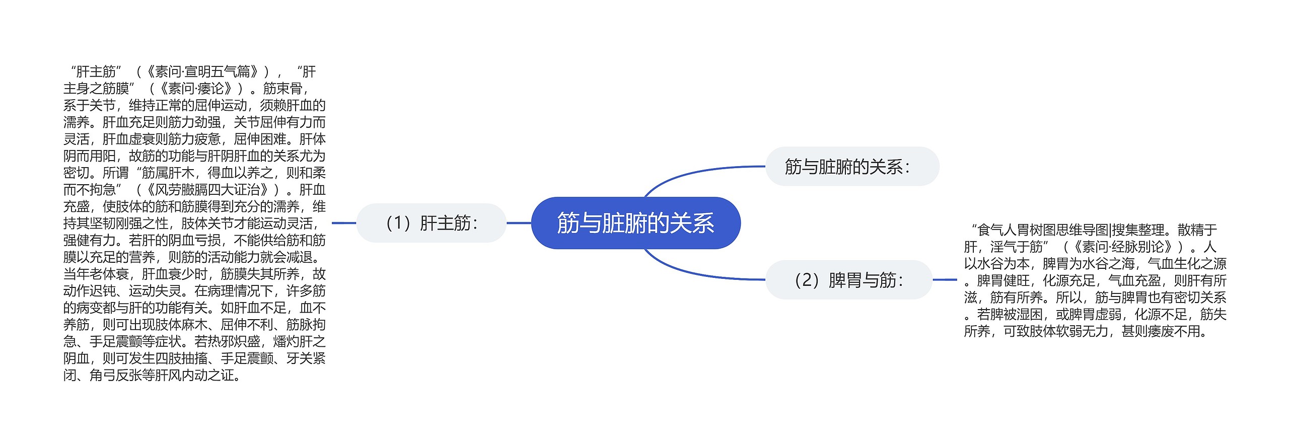 筋与脏腑的关系思维导图