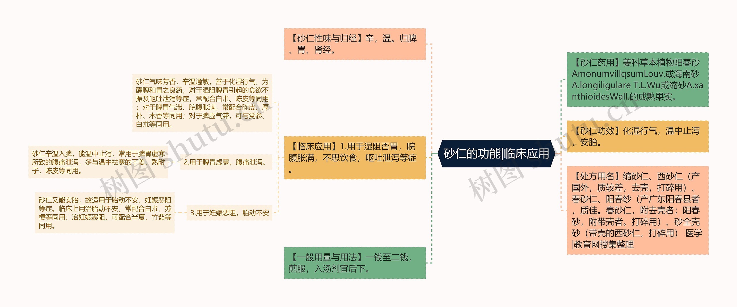 砂仁的功能|临床应用