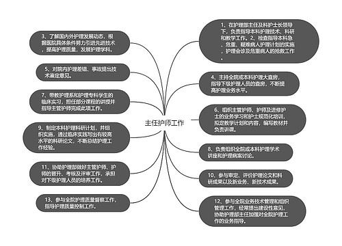 主任护师工作