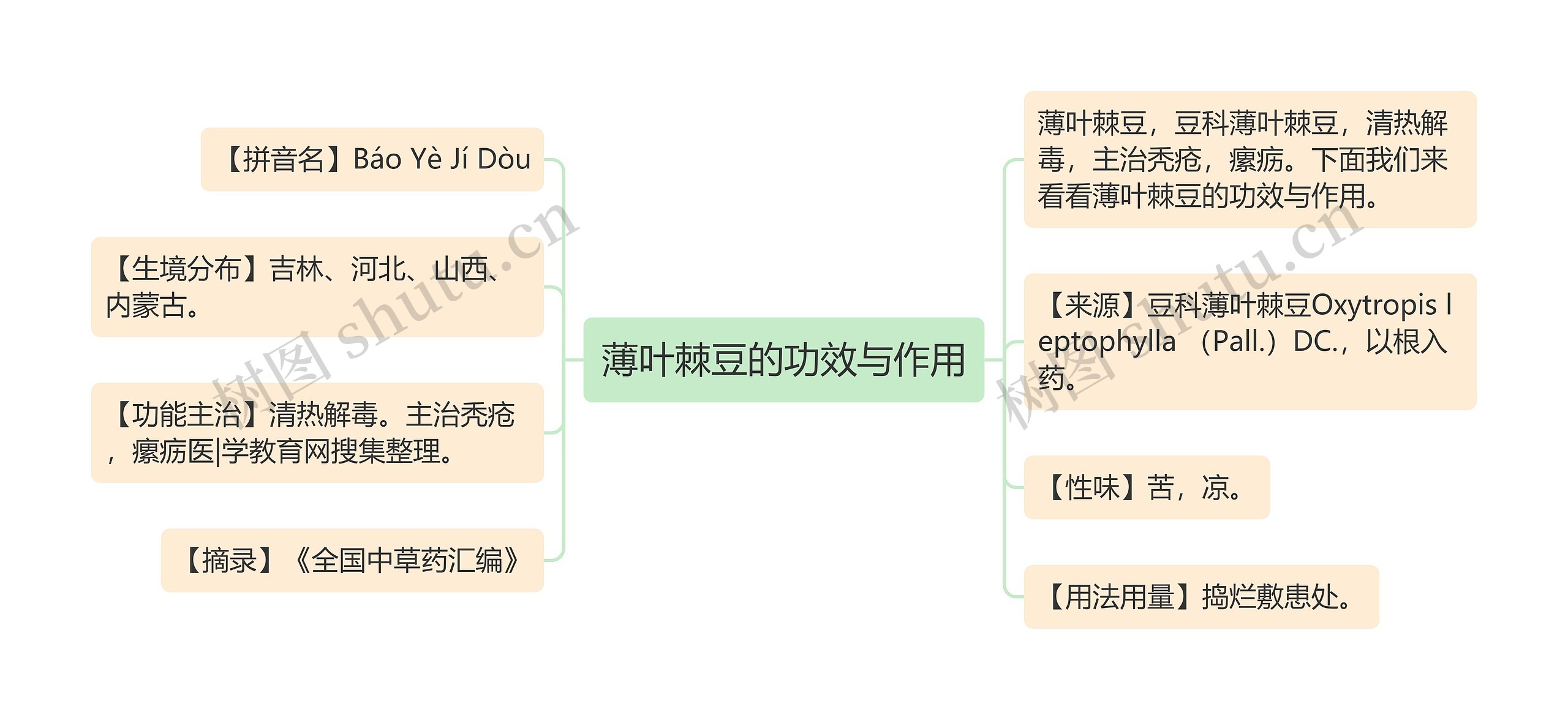 薄叶棘豆的功效与作用思维导图