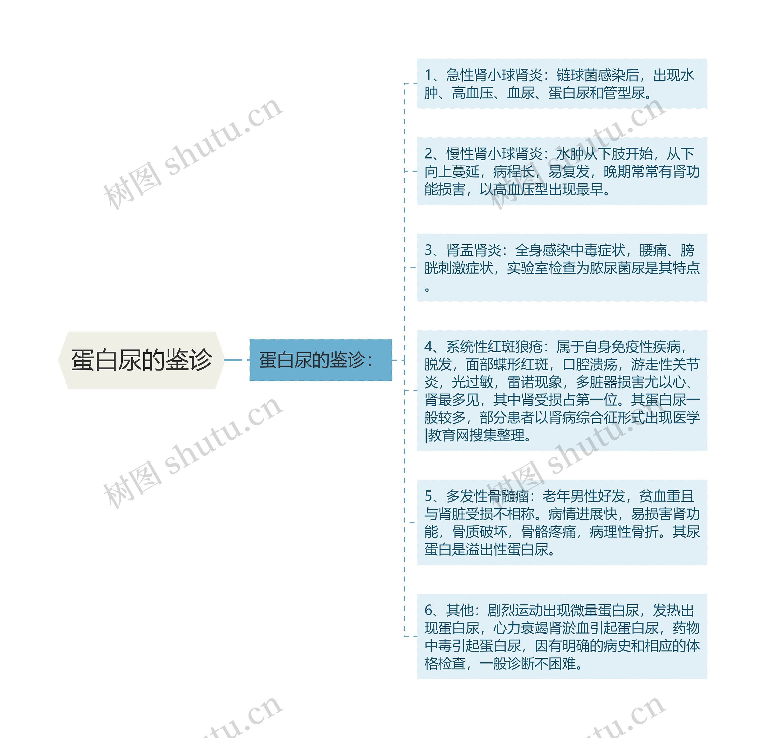 蛋白尿的鉴诊