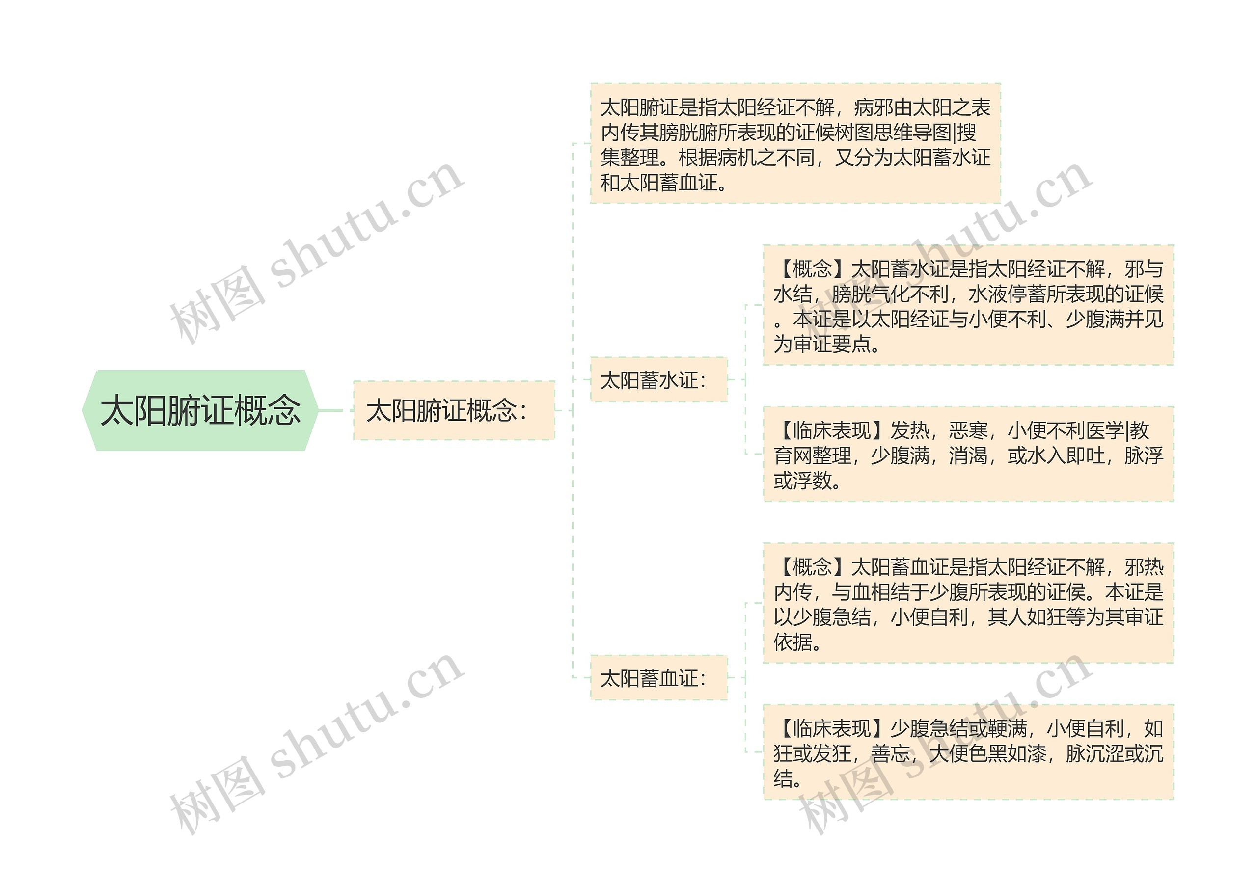 太阳腑证概念思维导图