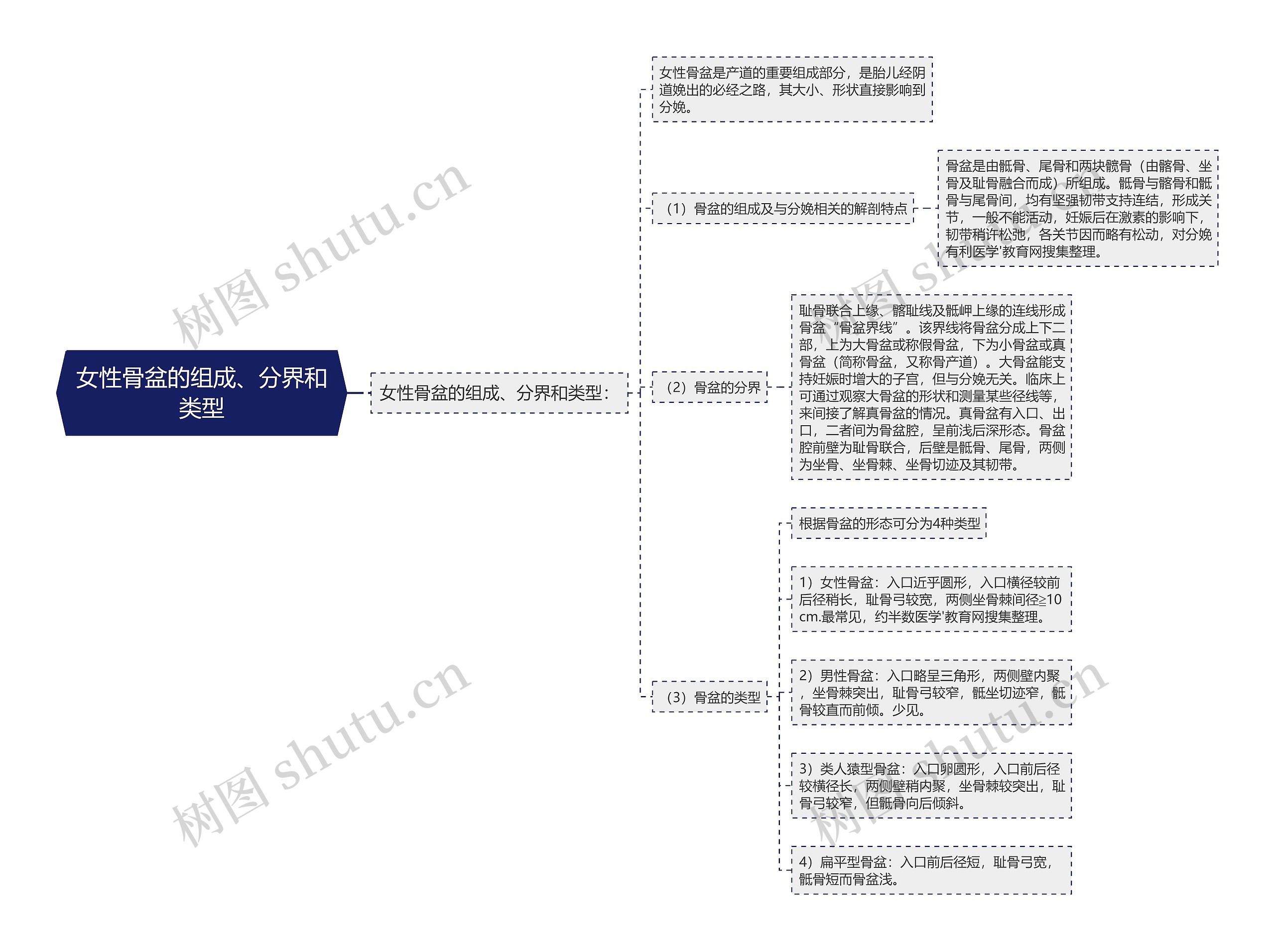 女性骨盆的组成、分界和类型思维导图