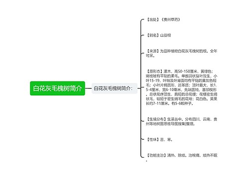 白花灰毛槐树简介