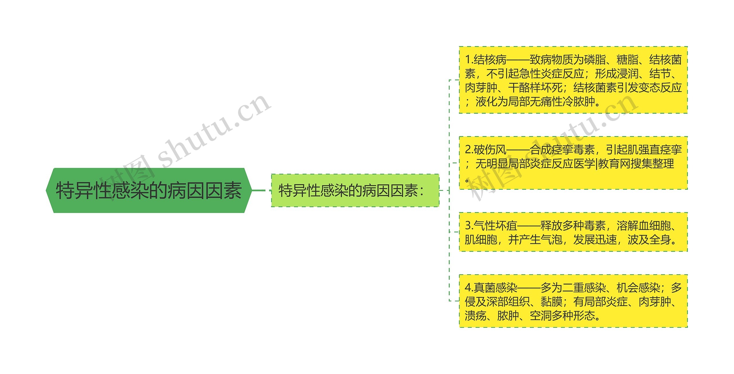 特异性感染的病因因素思维导图