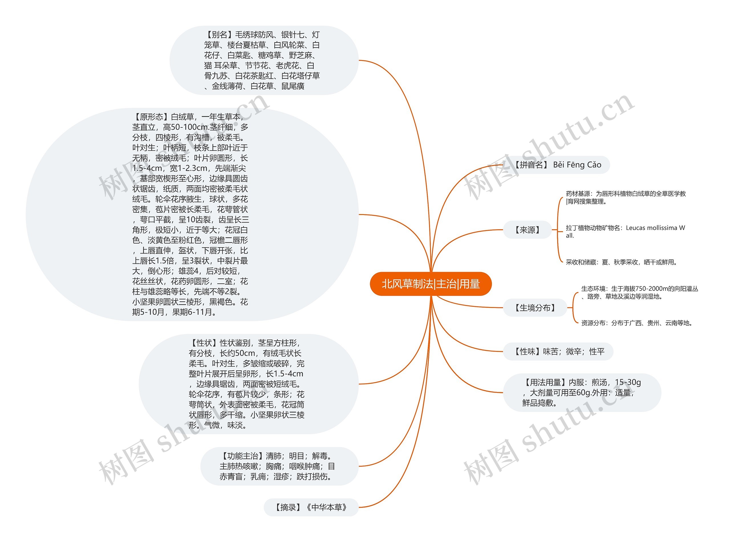 北风草制法|主治|用量思维导图
