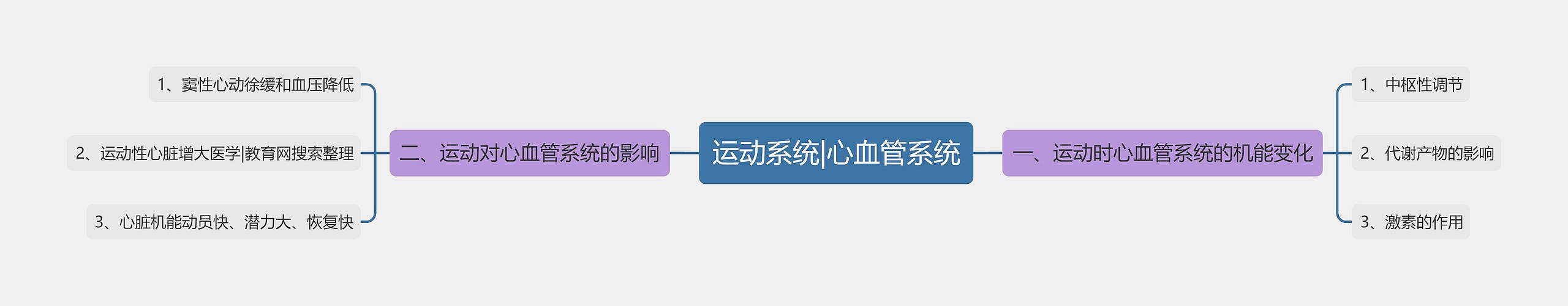 运动系统|心血管系统