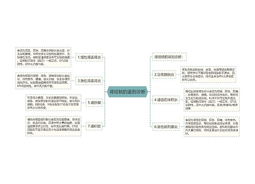 肾结核的鉴别诊断