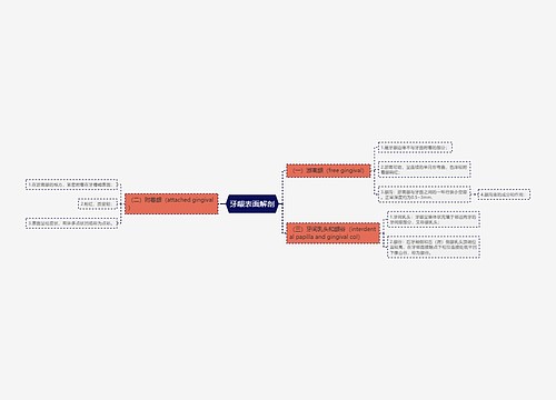 牙龈表面解剖