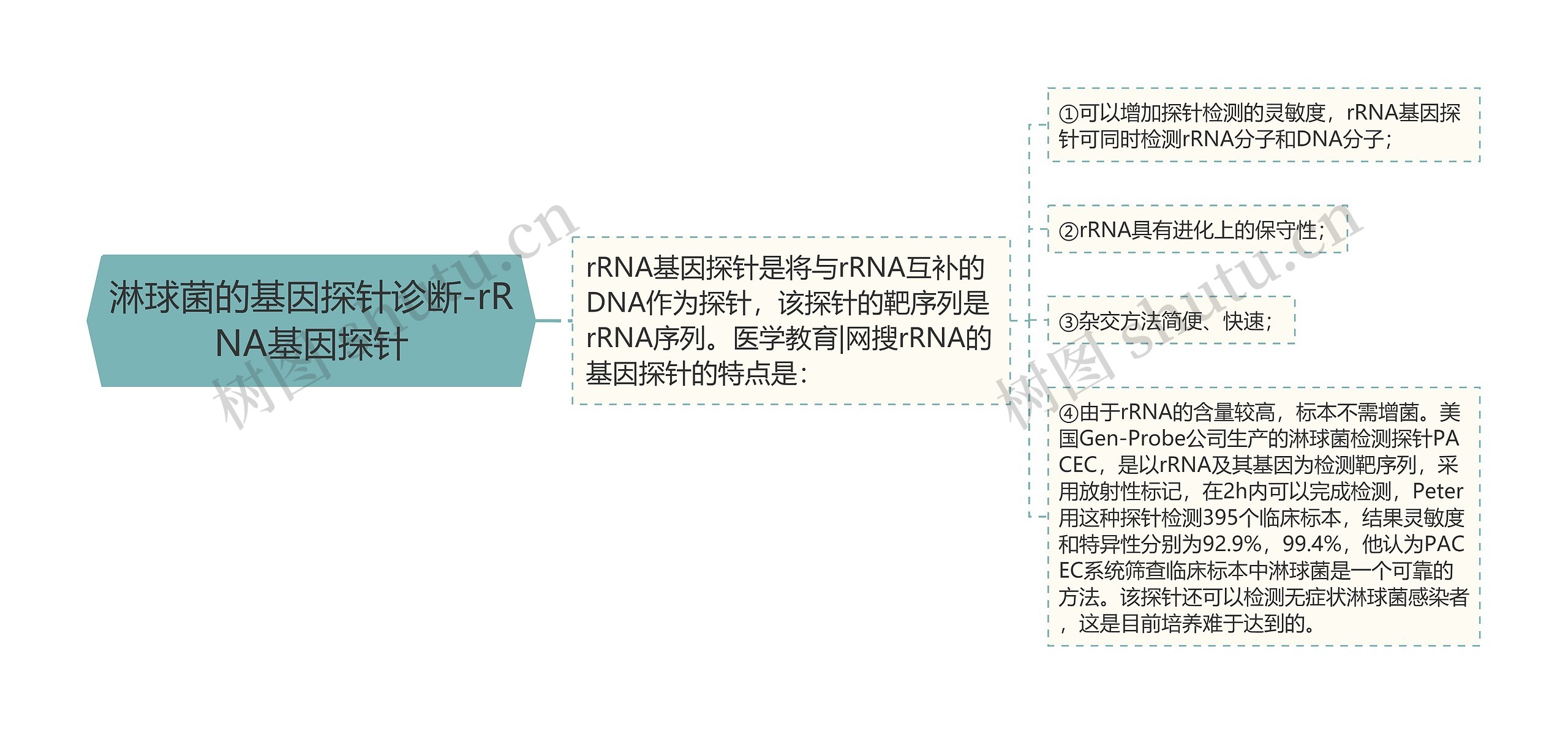 淋球菌的基因探针诊断-rRNA基因探针