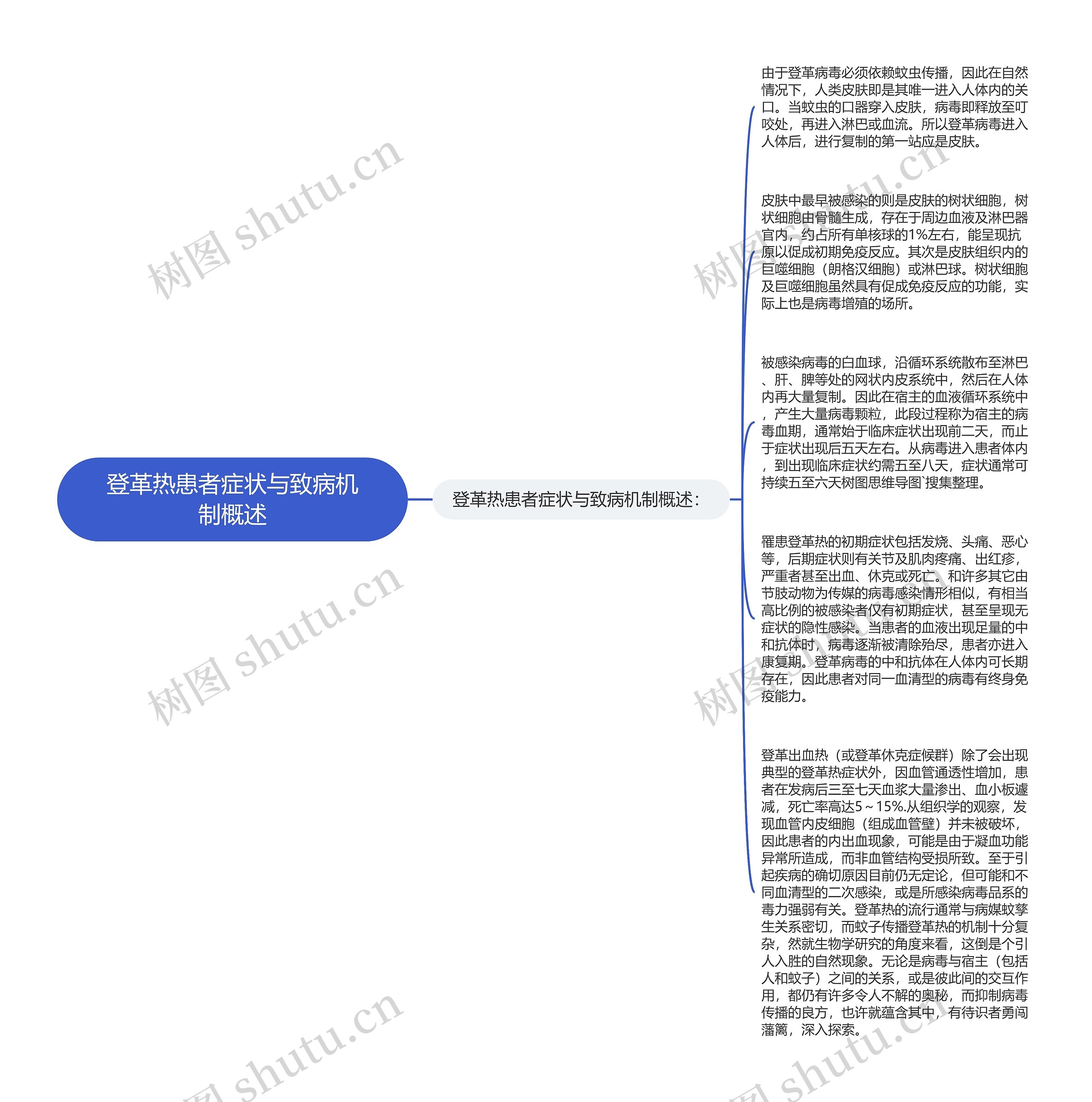 登革热患者症状与致病机制概述思维导图