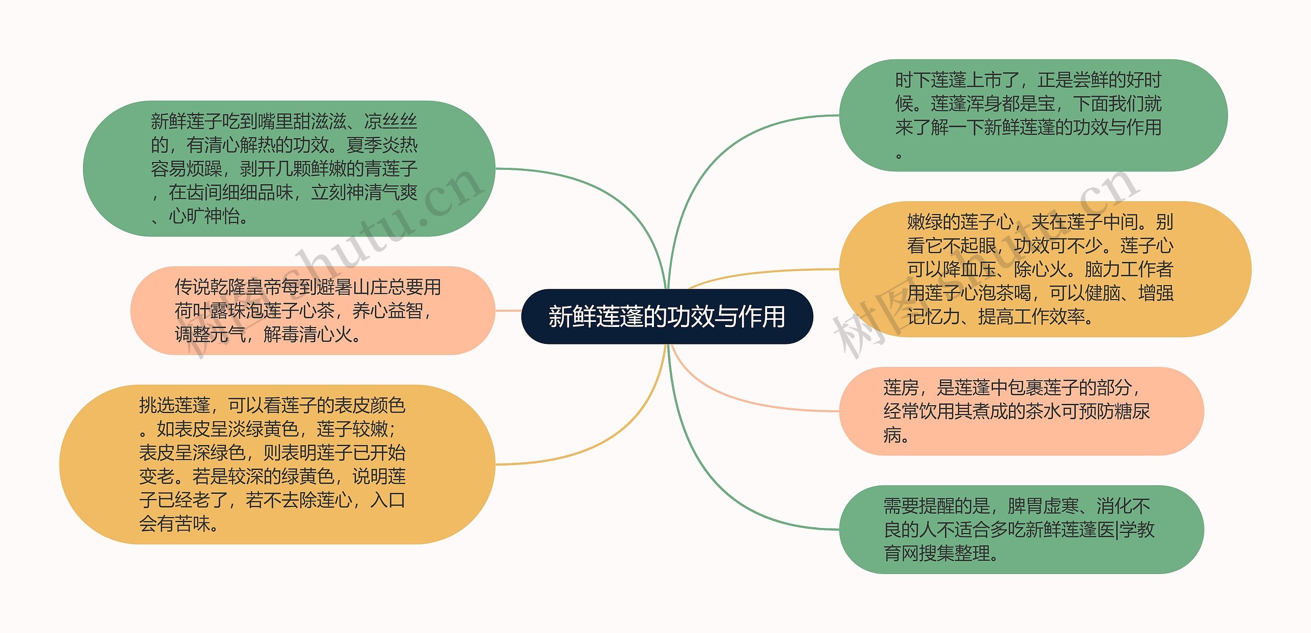 新鲜莲蓬的功效与作用思维导图