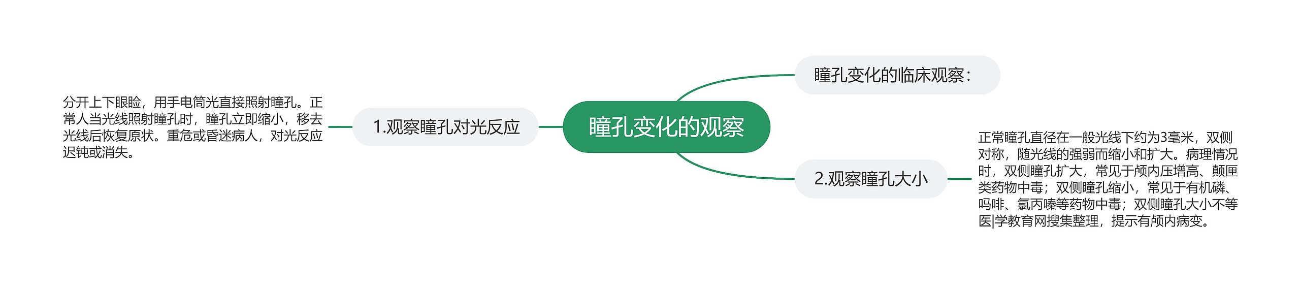 瞳孔变化的观察思维导图