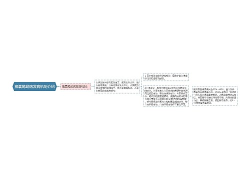 猪囊尾蚴病发病机制介绍