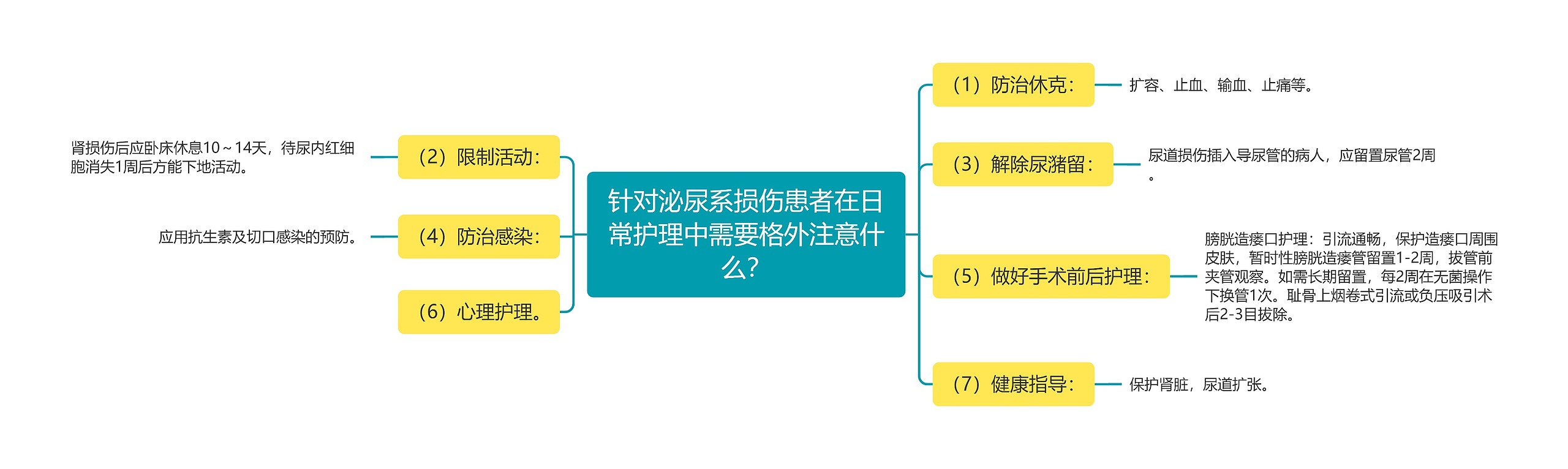 针对泌尿系损伤患者在日常护理中需要格外注意什么？思维导图