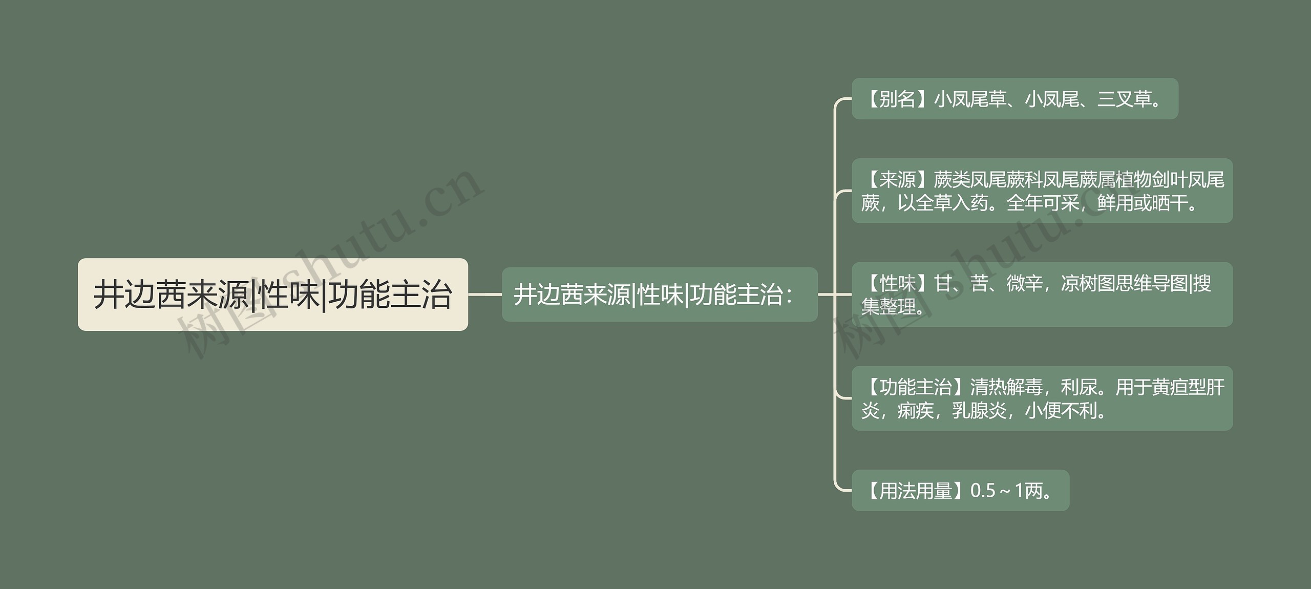 井边茜来源|性味|功能主治