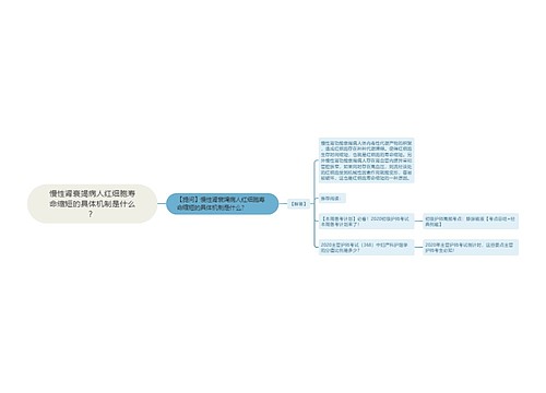 慢性肾衰竭病人红细胞寿命缩短的具体机制是什么？