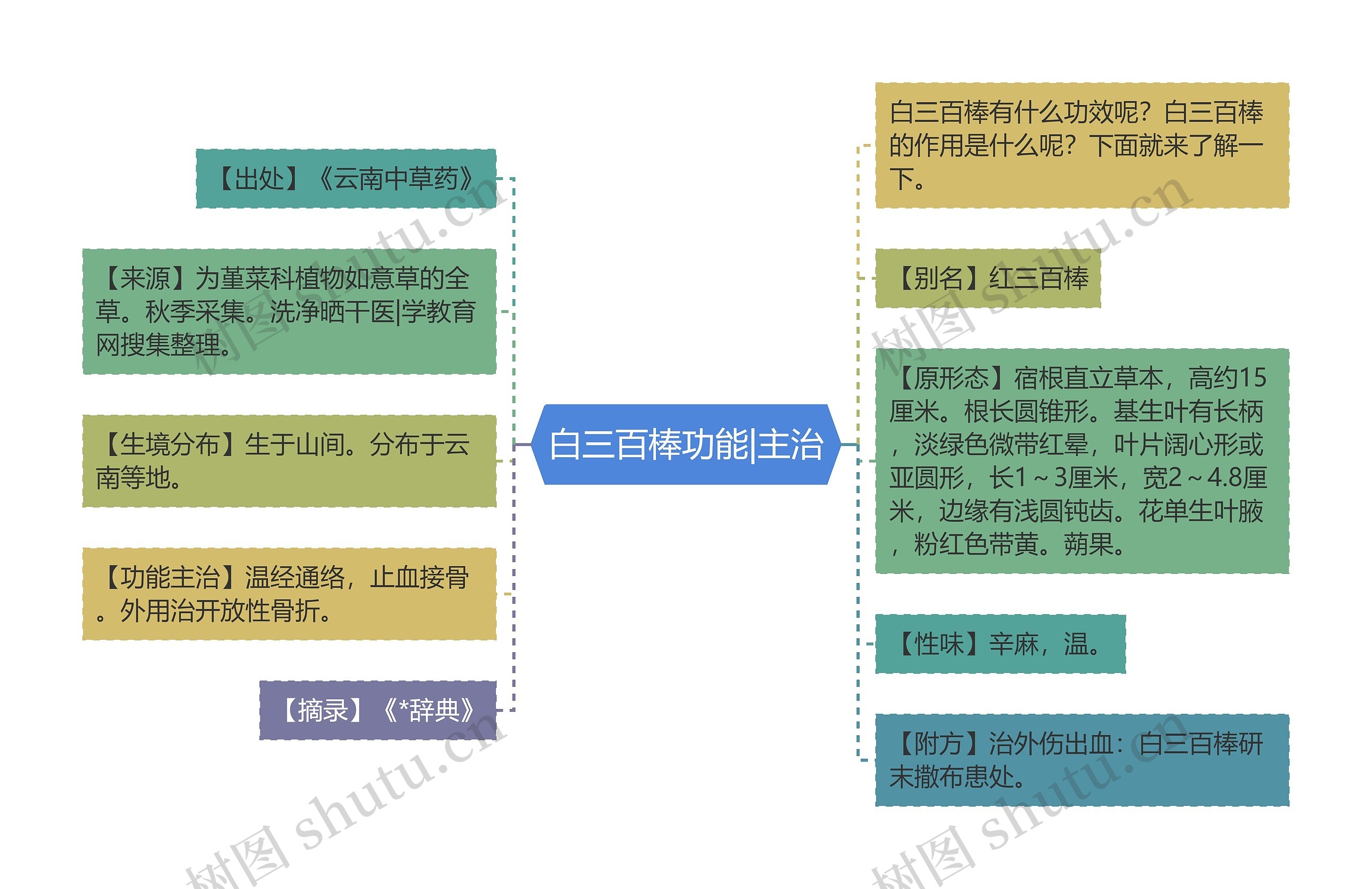 白三百棒功能|主治思维导图