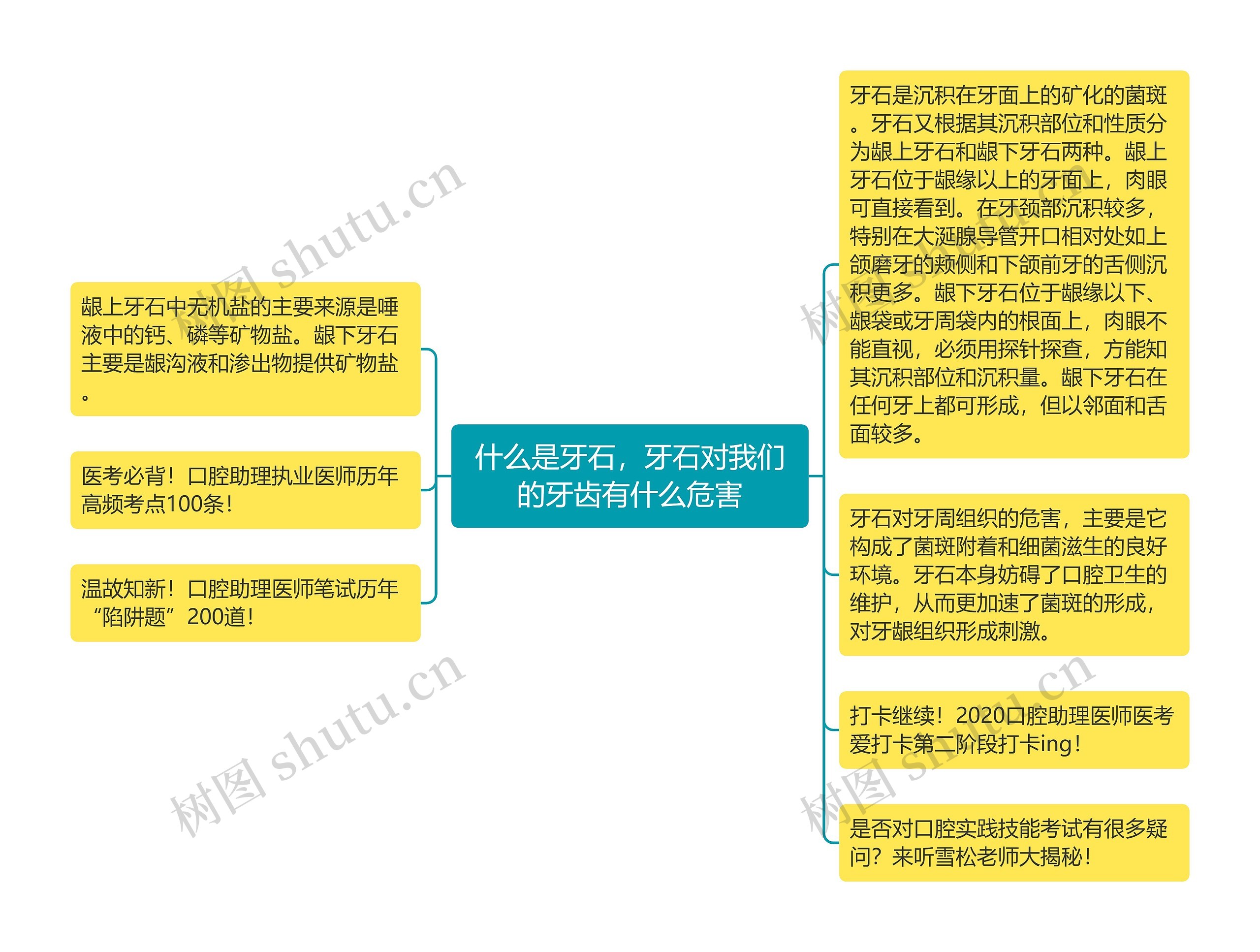 什么是牙石，牙石对我们的牙齿有什么危害思维导图