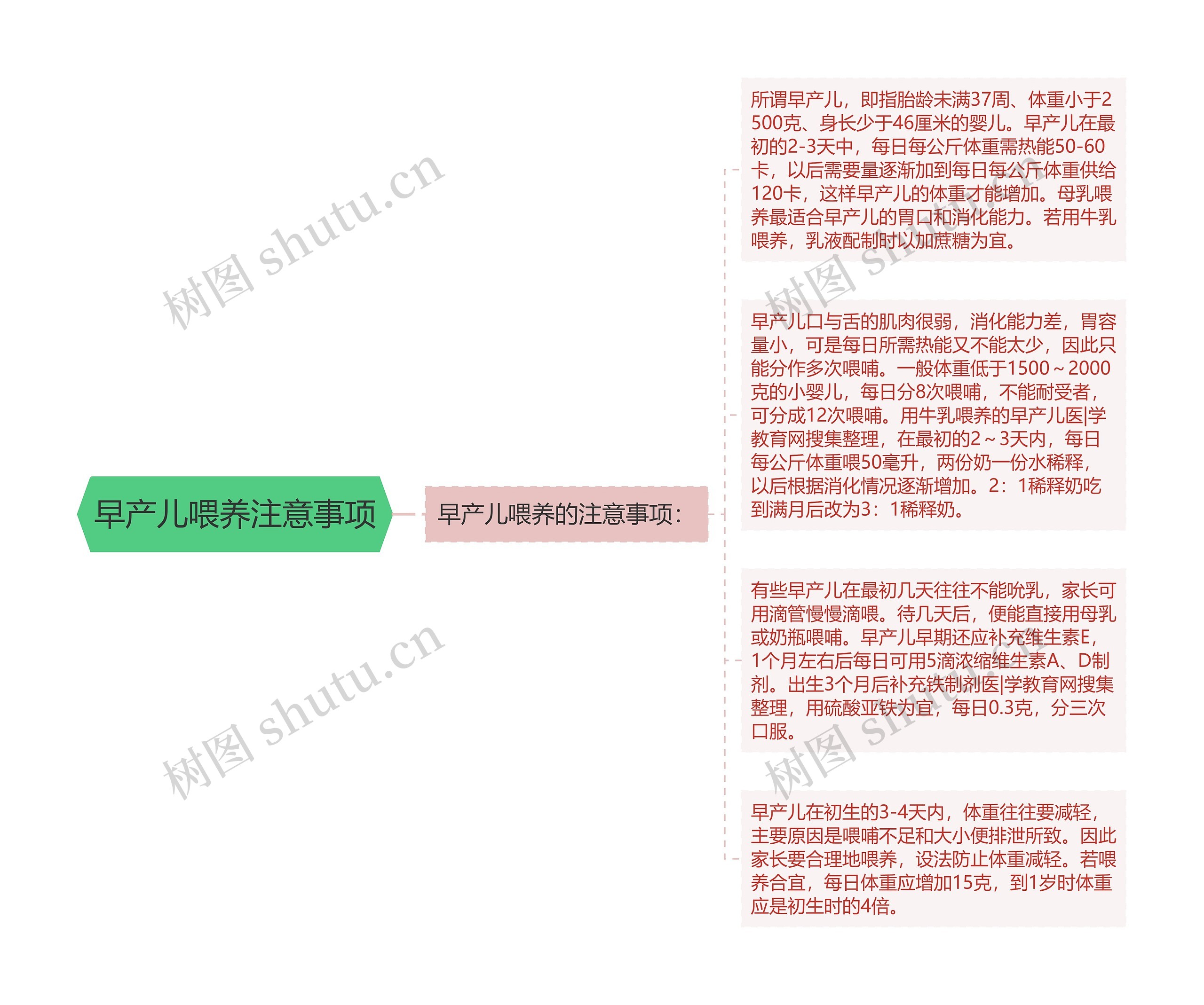 早产儿喂养注意事项思维导图