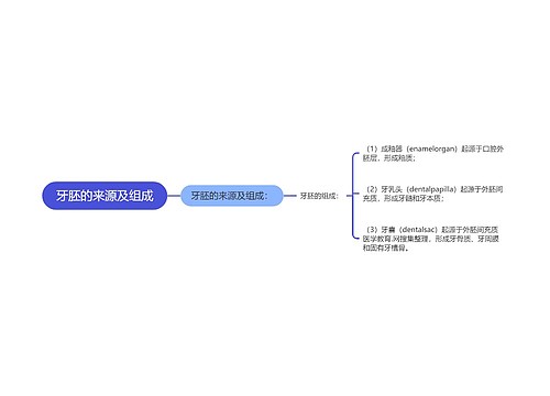 牙胚的来源及组成