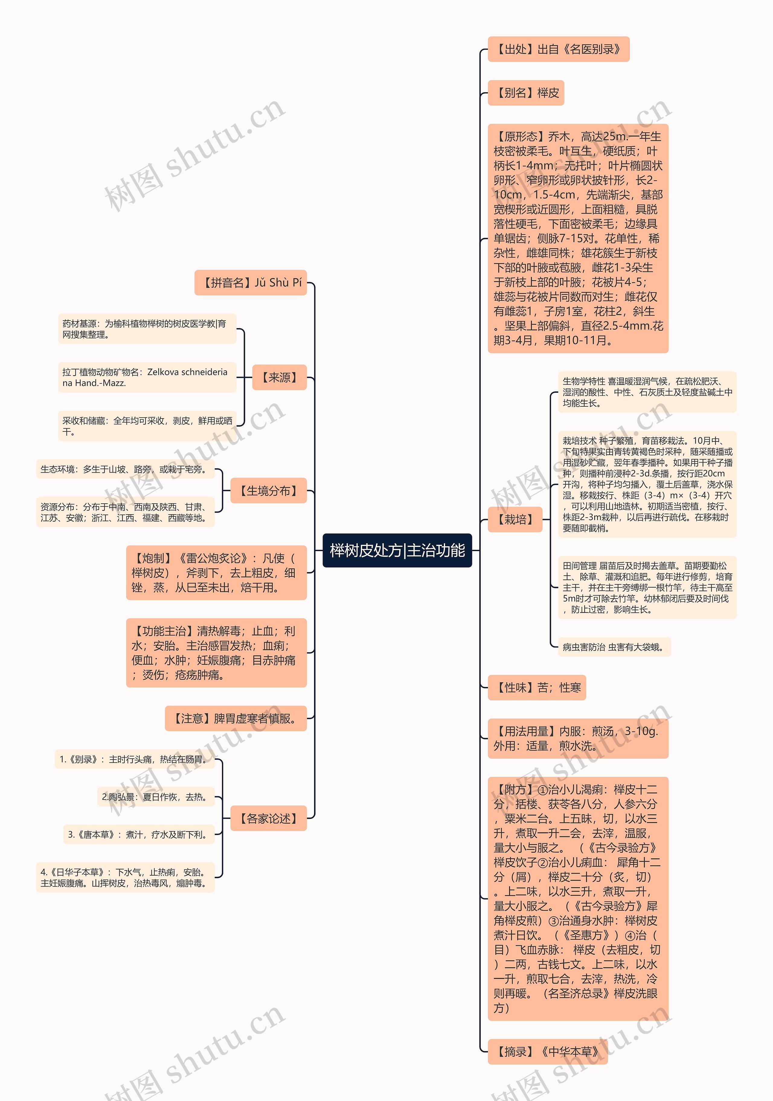 榉树皮处方|主治功能思维导图