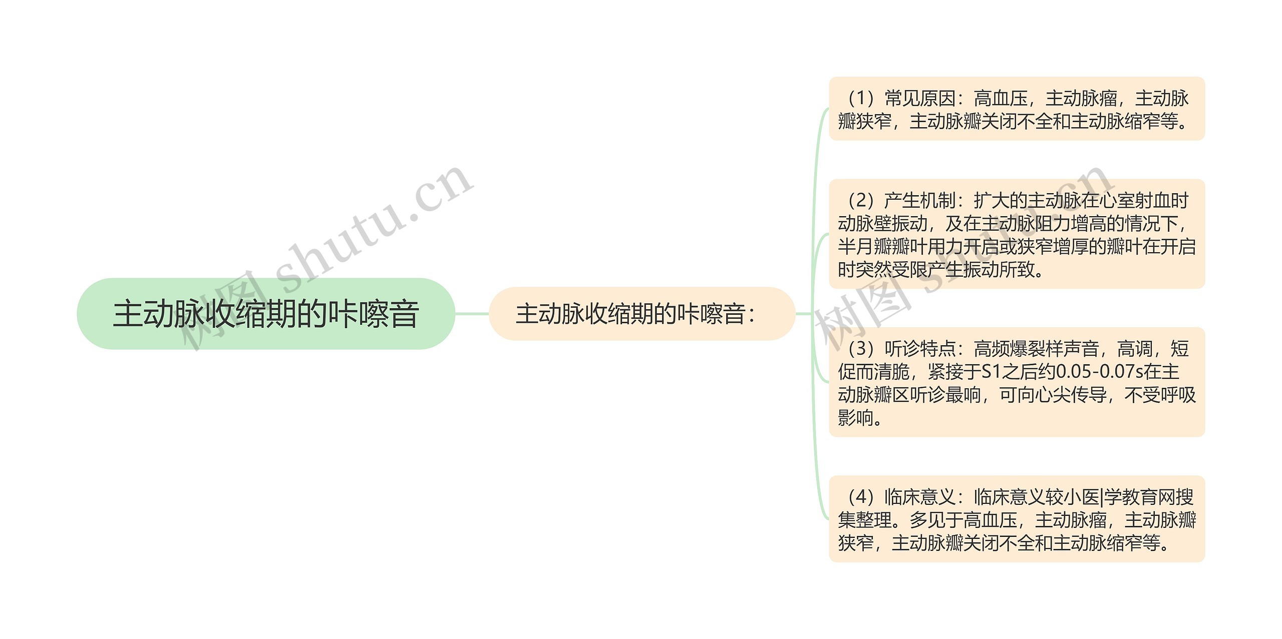 主动脉收缩期的咔嚓音思维导图