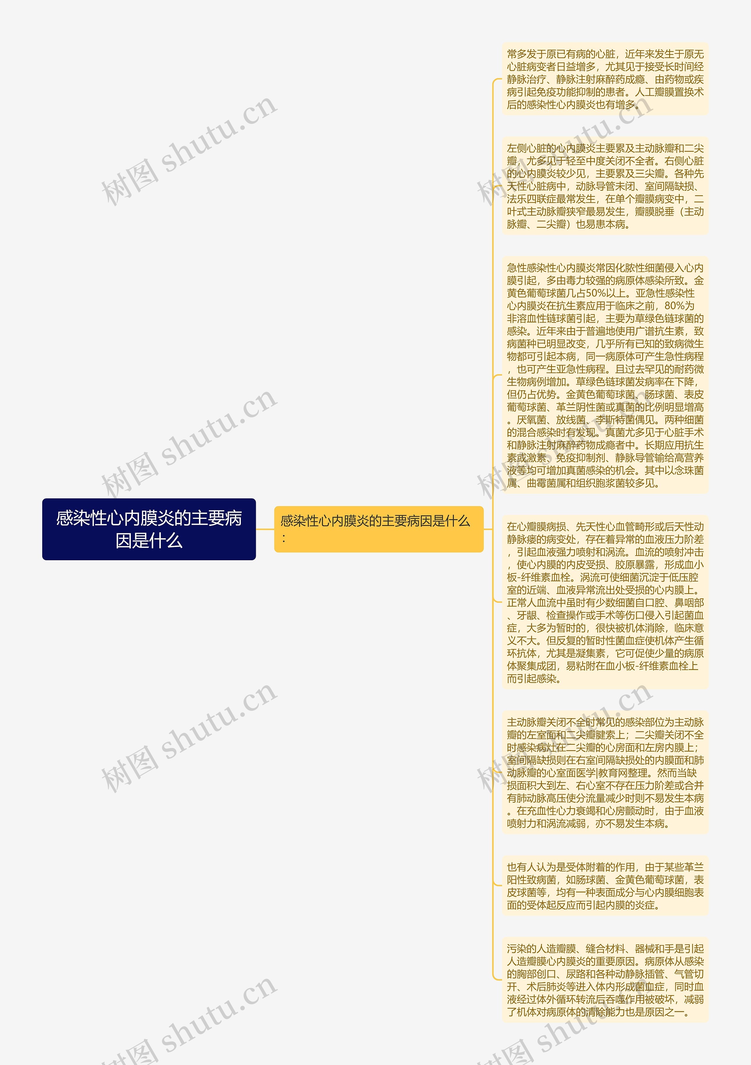 感染性心内膜炎的主要病因是什么
