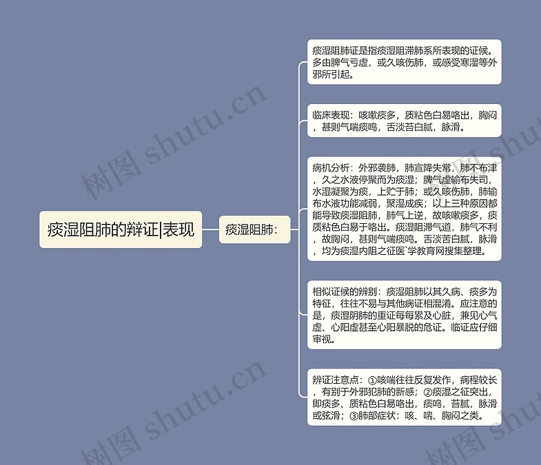 痰湿阻肺的辩证|表现思维导图_编号p6819208-TreeMind树图