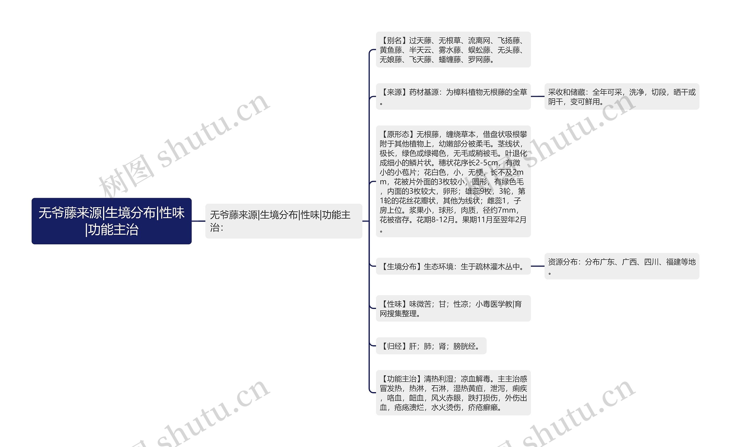 无爷藤来源|生境分布|性味|功能主治