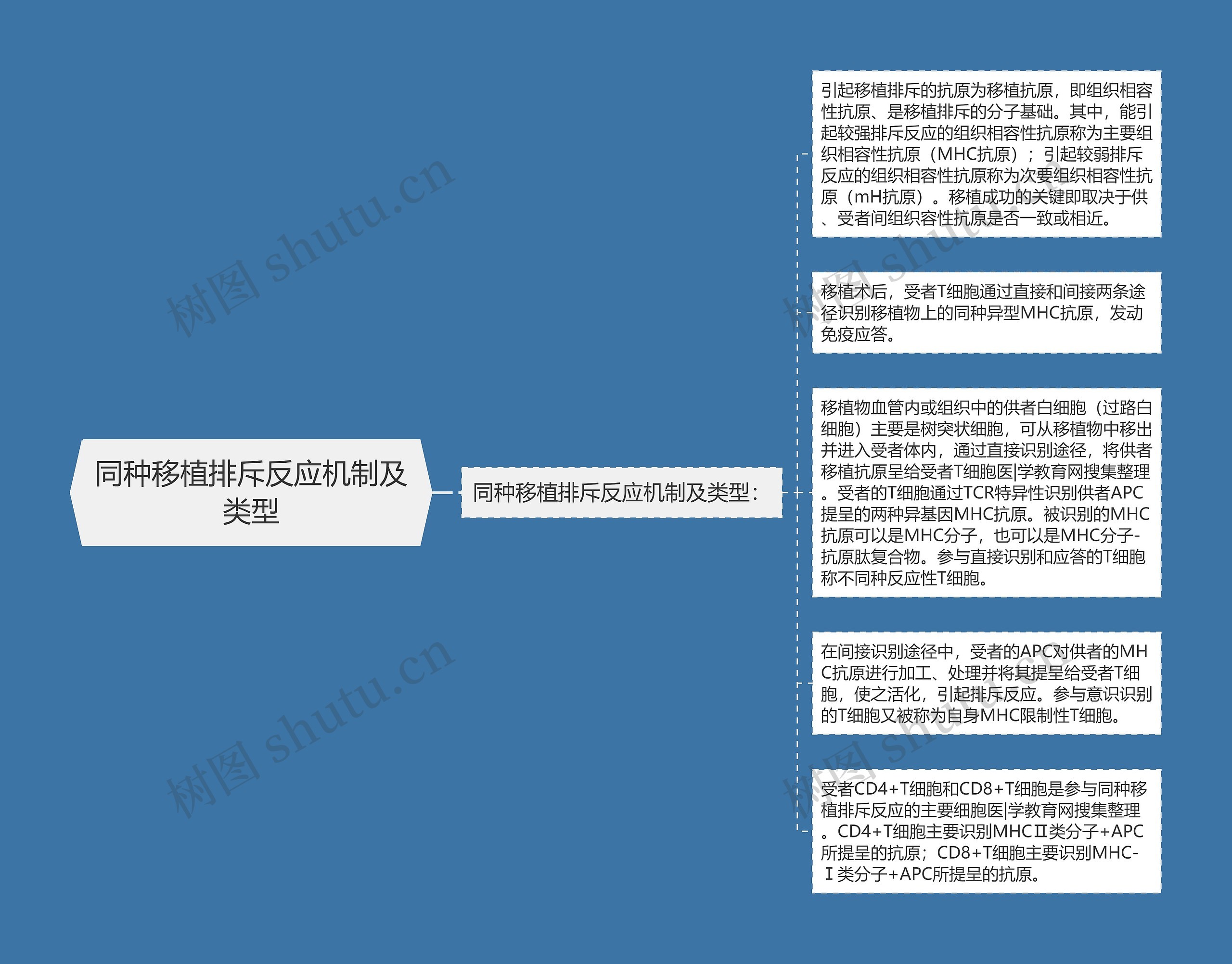 同种移植排斥反应机制及类型思维导图