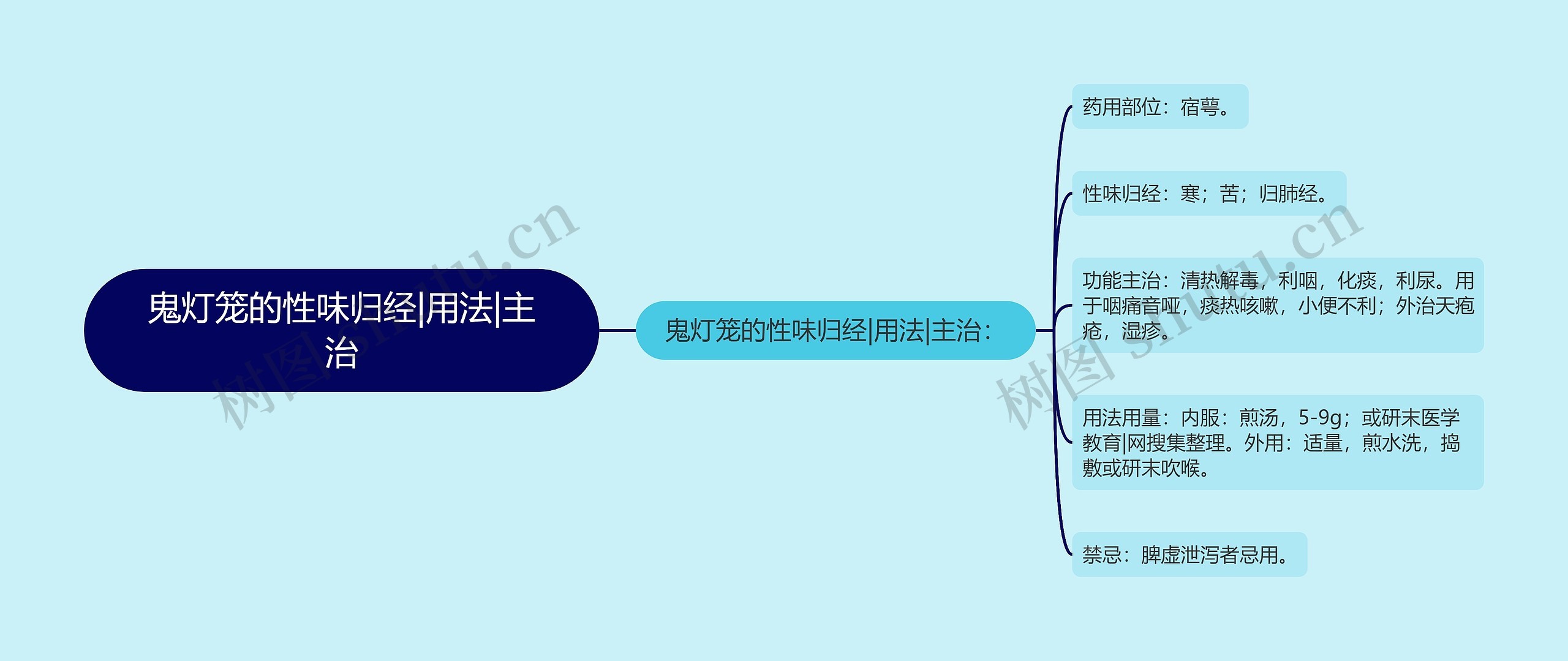 鬼灯笼的性味归经|用法|主治思维导图