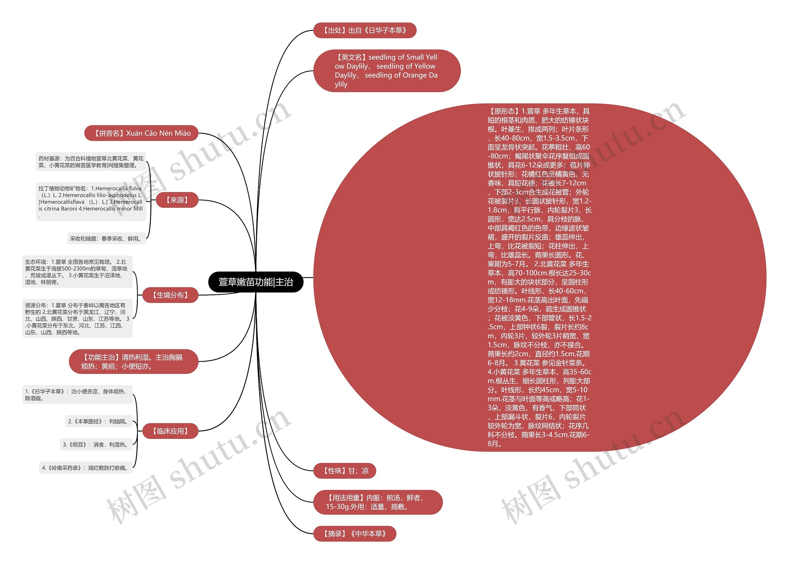 萱草嫩苗功能|主治思维导图