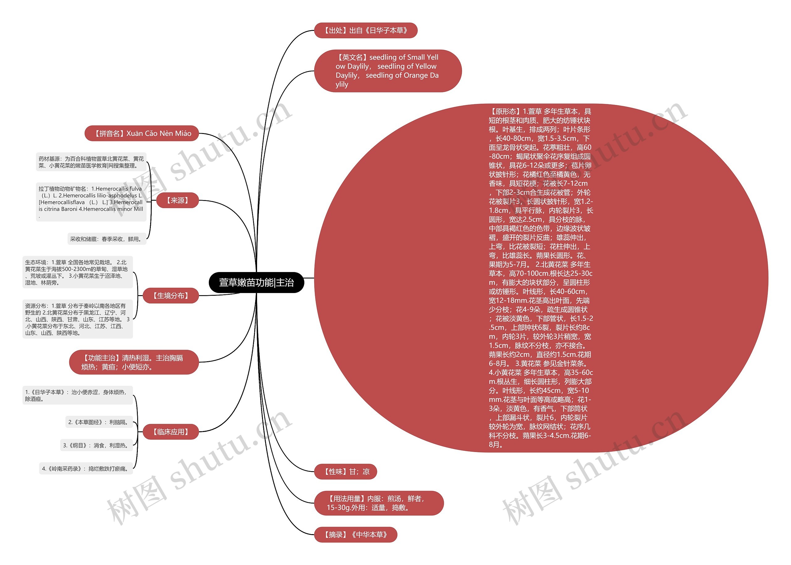 萱草嫩苗功能|主治 萱草嫩苗功能|主治