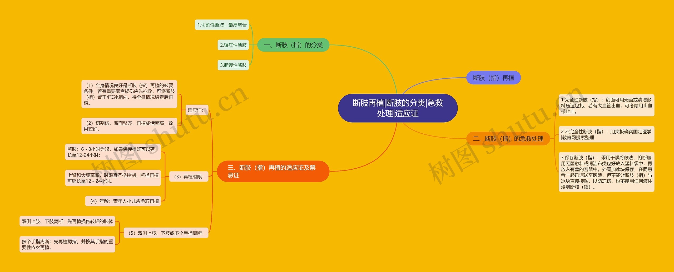 断肢再植|断肢的分类|急救处理|适应证思维导图