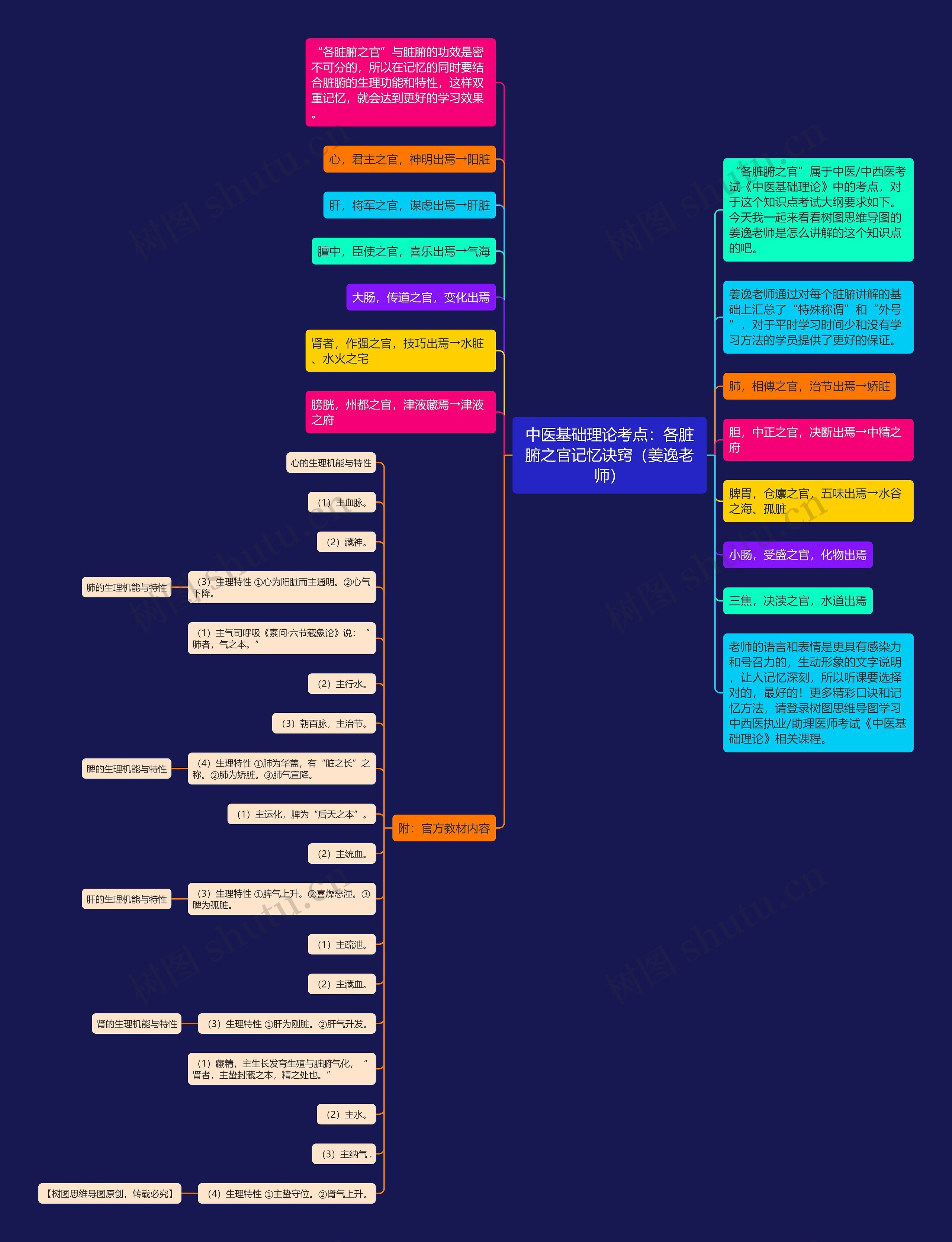 五脏六腑关系思维导图图片