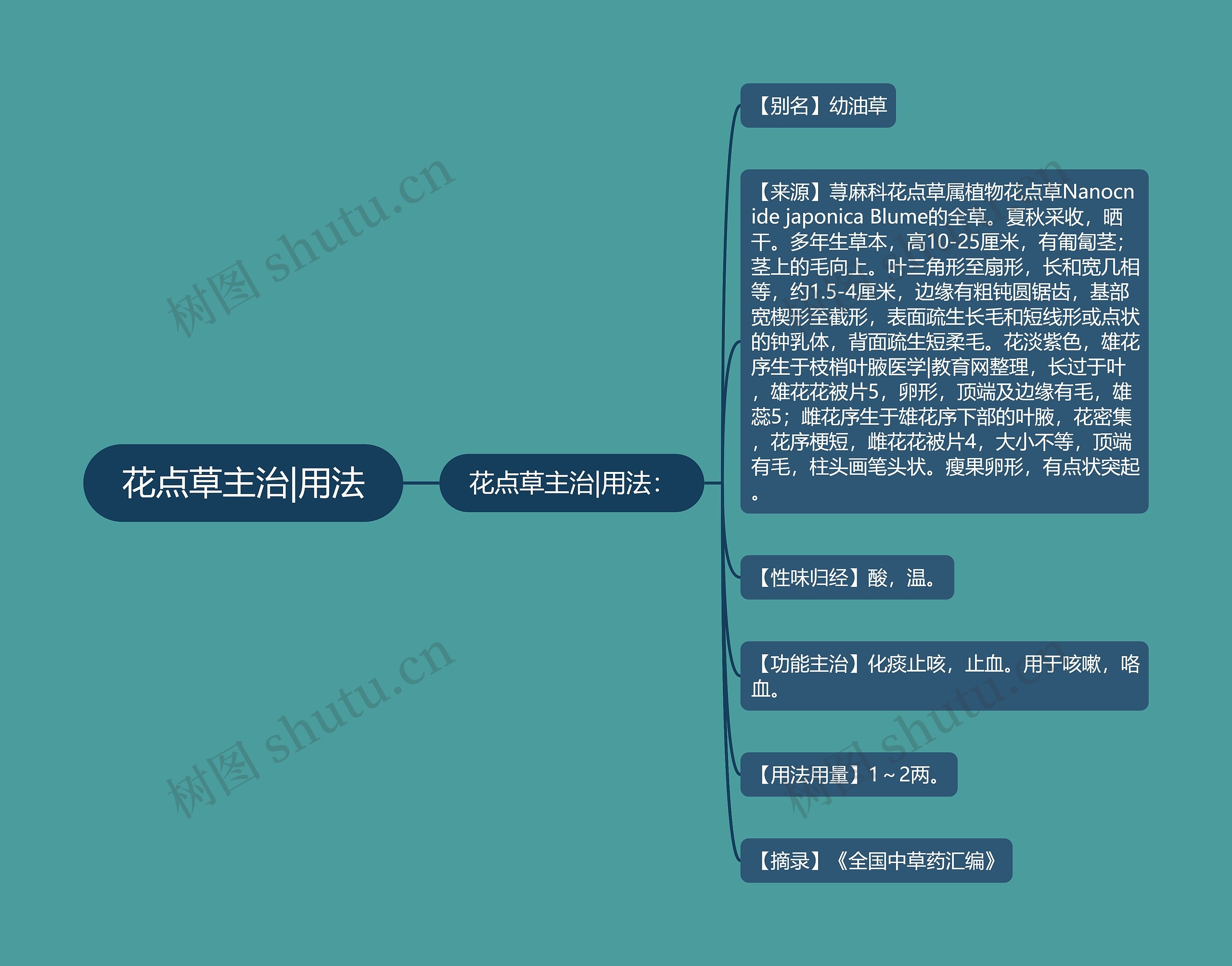 花点草主治|用法思维导图