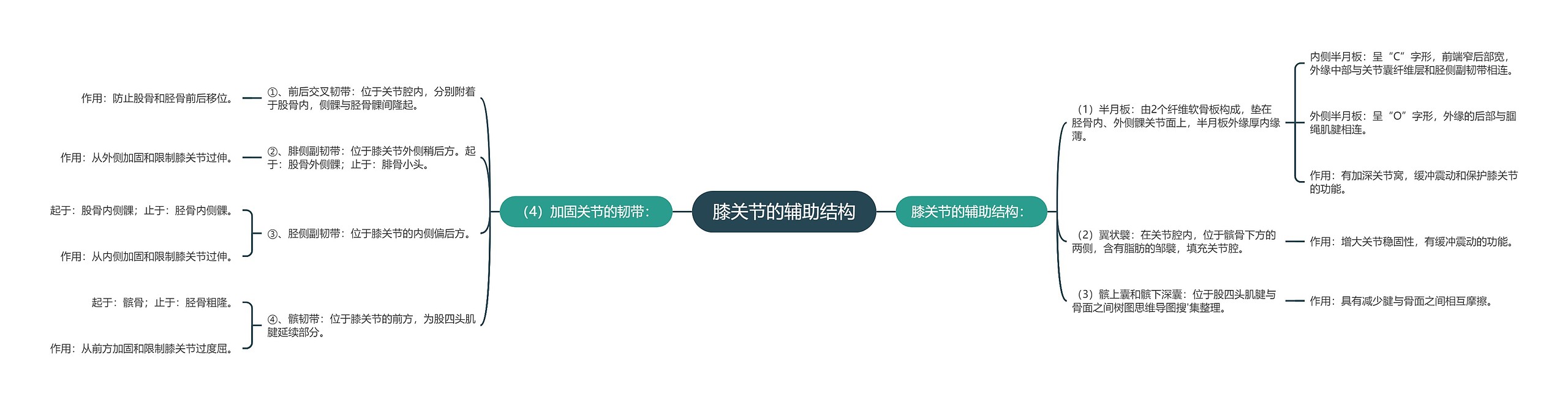 膝关节的辅助结构思维导图